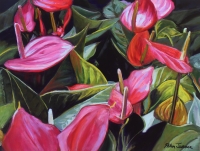 Anthuriums