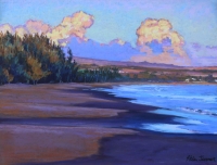 August Afternoon in Waimea