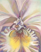 Bee's View Orchid