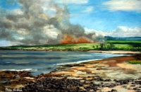 Cane Fire in Hanapepe