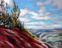 Canyon View