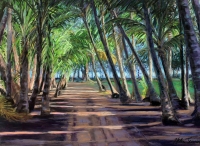 Coconut Path