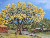 Gold trees of Waimea