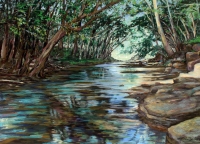 Kapaa Stream