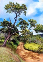 Ohia