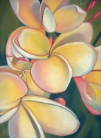 Plumerias