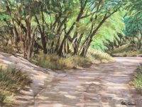 Sandy Path 2