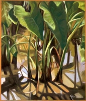 Taro 2