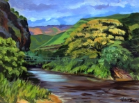 Waimea Swinging Bridge