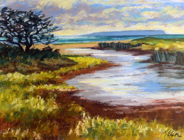 After the Squall at Salt Pond, Pastel artwork by Kauai artist Helen Turner