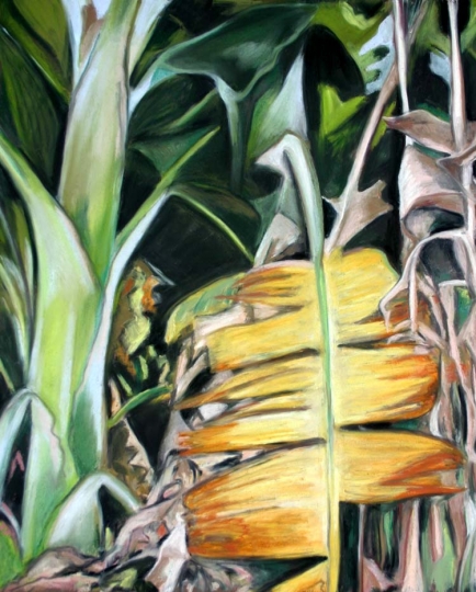 Banana Leaves, Pastel artwork by Kauai artist Helen Turner