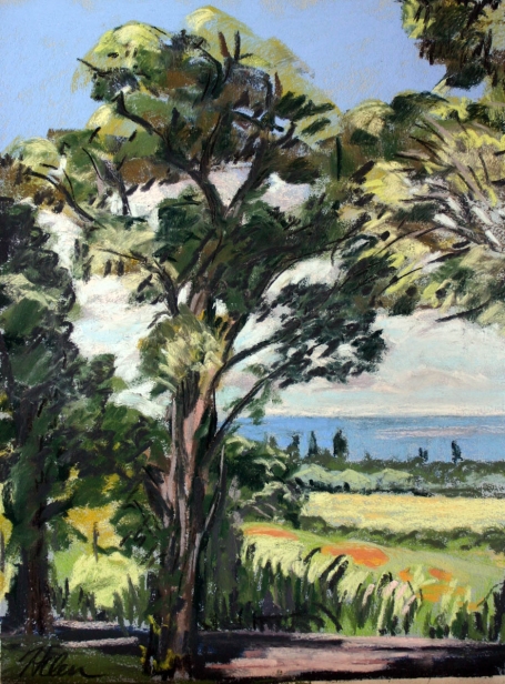 Eucalyptus trees and view, Pastel artwork by Kauai artist Helen Turner