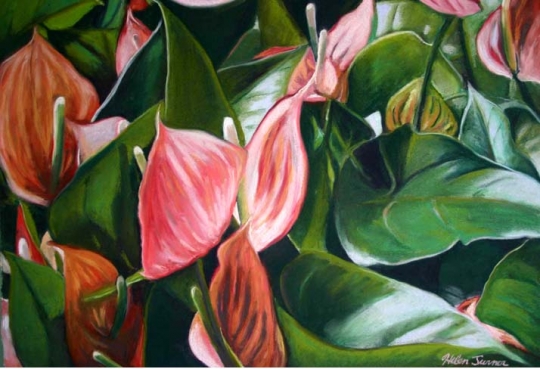 Field of Anthuriums, pastel artwork by Kauai artist Helen Turner