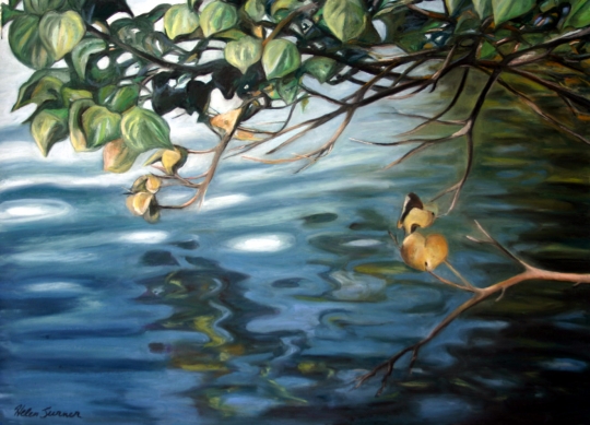 Hau Now Brown Bough, pastel artwork by Kauai artist Helen Turner