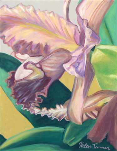 Morning Light Orchid, Pastel artwork by Kauai artist Helen Turner