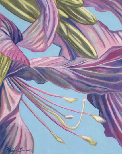 Orchid Tree, pastel artwork by Kauai artist Helen Turner