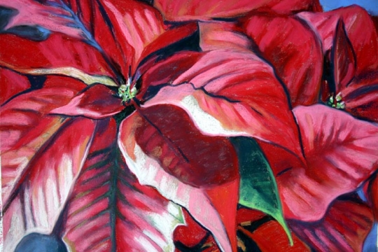 Pointcettias, Pastel artwork by Kauai artist Helen Turner