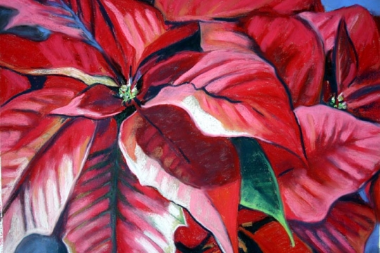 Pointcettias, pastel artwork by Kauai artist Helen Turner