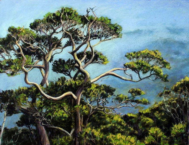 Queen of the Canopy, Pastel artwork by Kauai artist Helen Turner