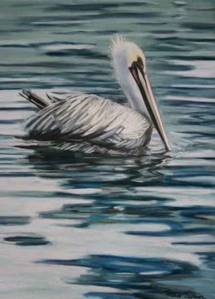 Santa Barbara Pelican, Pastel artwork by Kauai artist Helen Turner