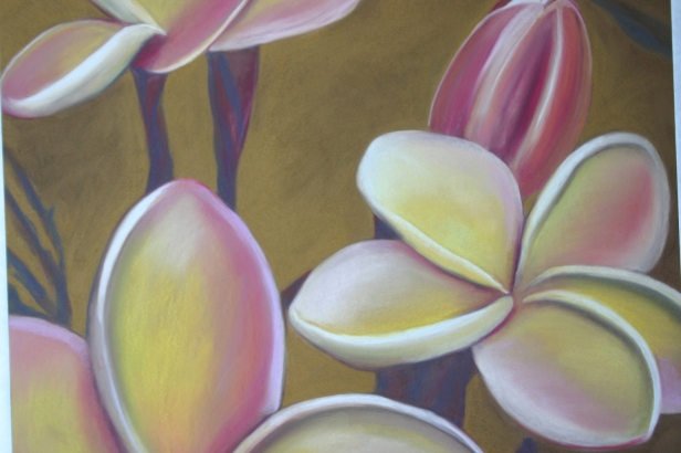 Sweet Plumerias, pastel artwork by Kauai artist Helen Turner
