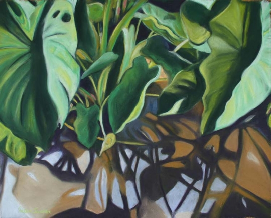 Taro 5, Pastel artwork by Kauai artist Helen Turner