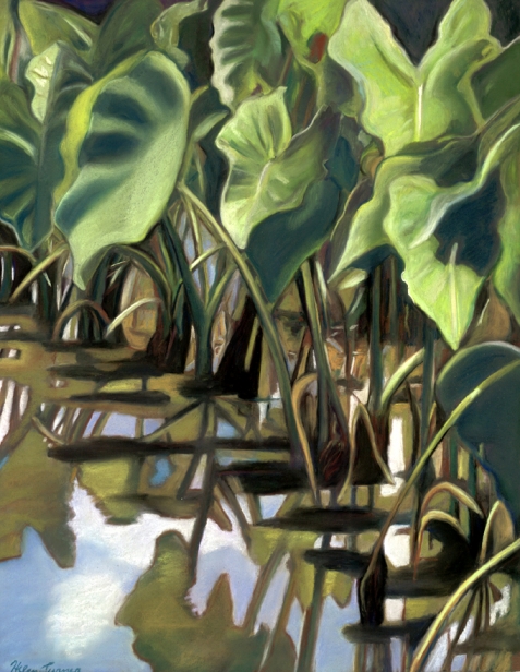 Taro Field at Noon, pastel artwork by Kauai artist Helen Turner