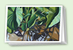 Greens greeting card set