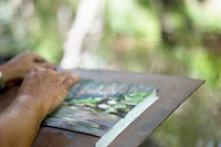 Helen Turner painting en plein air on Kauai